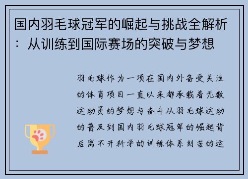 国内羽毛球冠军的崛起与挑战全解析：从训练到国际赛场的突破与梦想